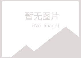 青海紫山化学有限公司